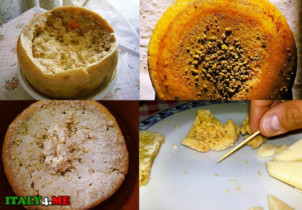 итальянский сыр с червями Казу Марцу
