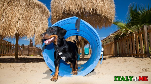 пляж-для-собак-Римини-2
