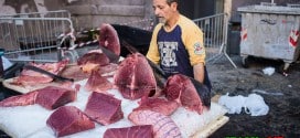 Рыбный рынок Катания