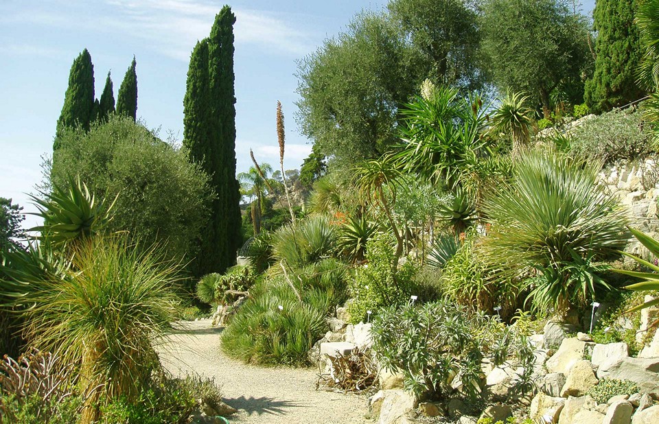 Ботанический сад Генбери
