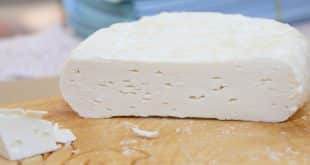 Робиола