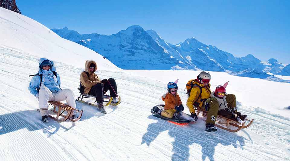 Те, кто неуверенно стоят на лыжах, выбирают сани