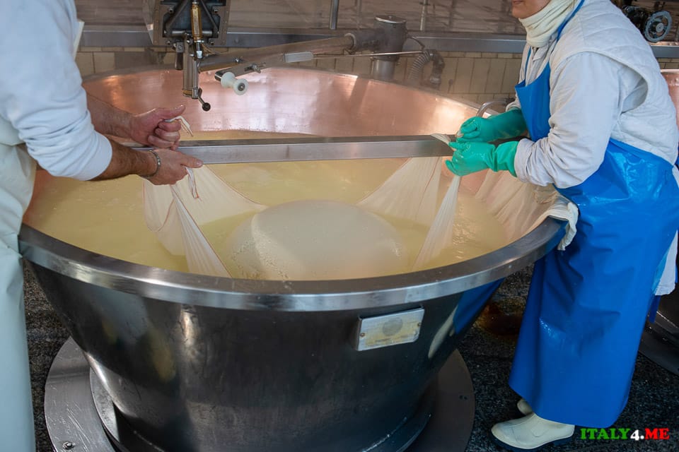 Подъём творожной массы на производстве Пармезана в Италии