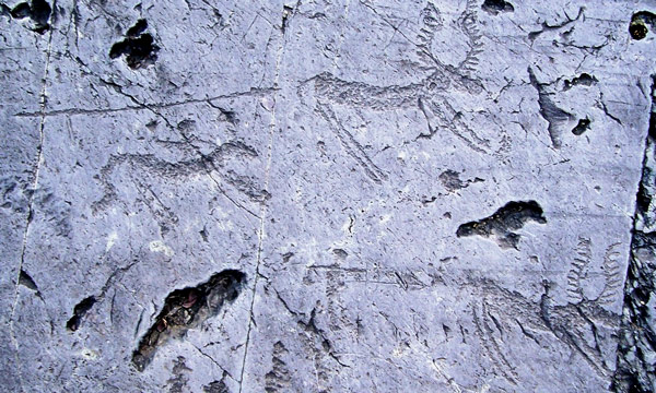 Изображение раненных копьями оленей и лосей на петроглифах Валь-Камоники