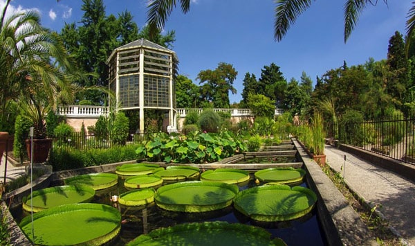 Ботанический сад в Падуе